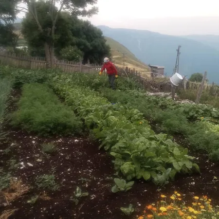 Frühstückspension Etno Koliba -