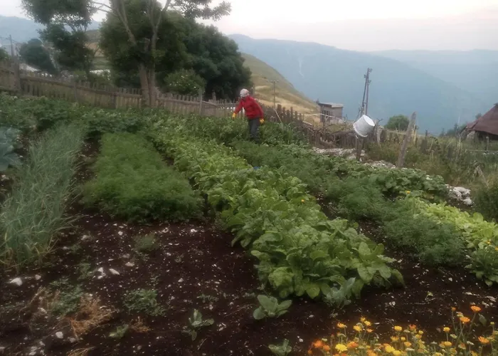 Bed & Breakfast Etno Koliba -